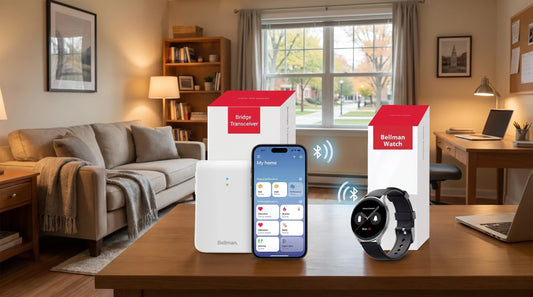 no wi-fi alert system for student rentals - why offline bluetooth is the reliable choice