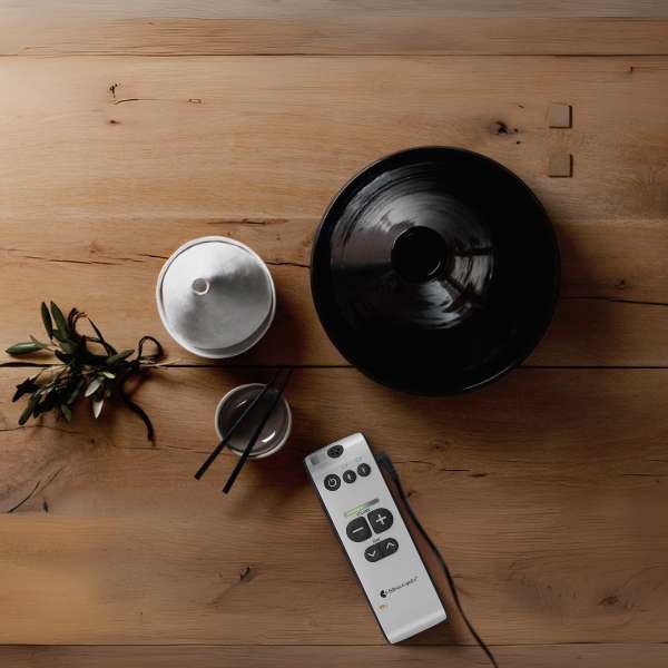 Maxi Pro Personal Amplifier