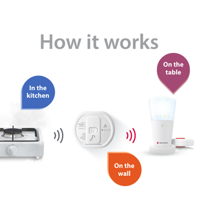 Smoke/Fire and Carbon Monoxide Alarm Notification System with Flash Receiver and Bed Shaker