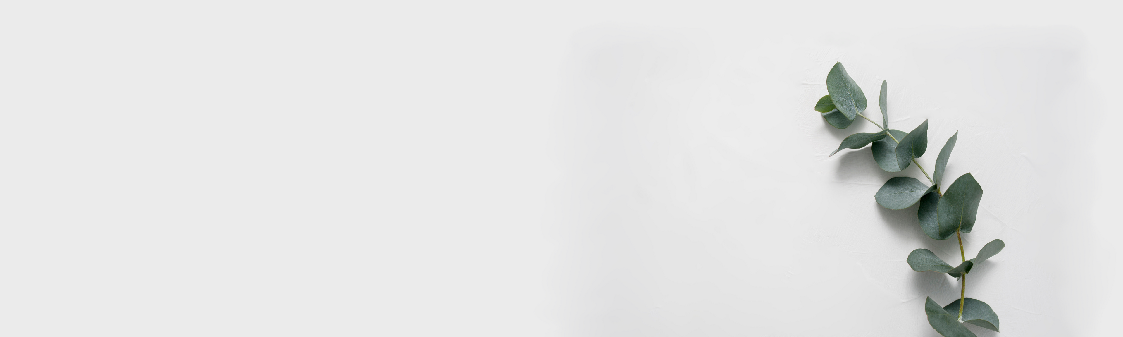 Desktop Banner