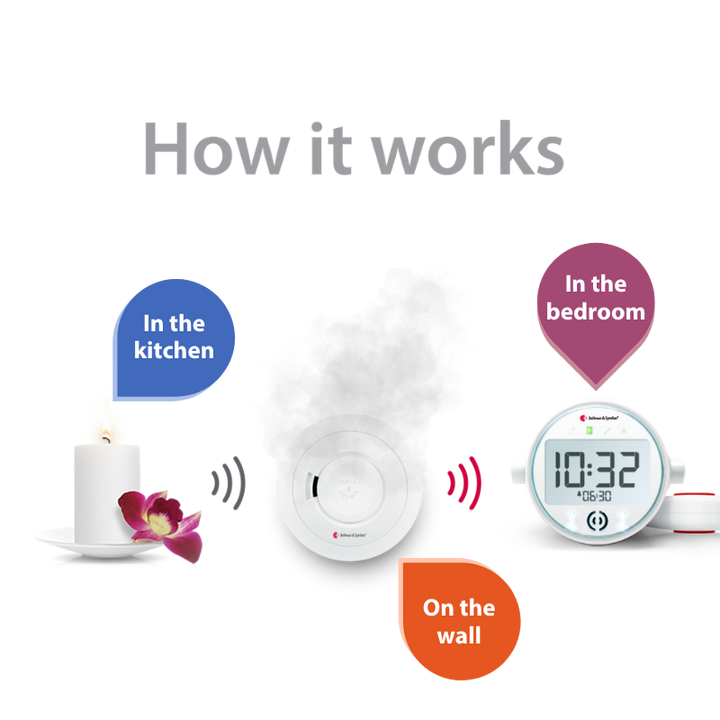 Smoke/Fire and Carbon Monoxide Alarm Notification System with Alarm Clock Receiver, Bed Shaker, Bridge, and Watch Receiver