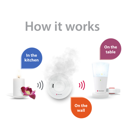 Smoke/Fire and Carbon Monoxide Alarm Notification System with Flash Receiver and Bed Shaker