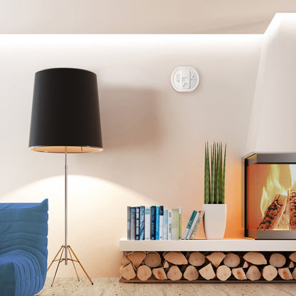 Smoke/Fire and Carbon Monoxide Alarm Notification System with Flash Receiver and Bed Shaker